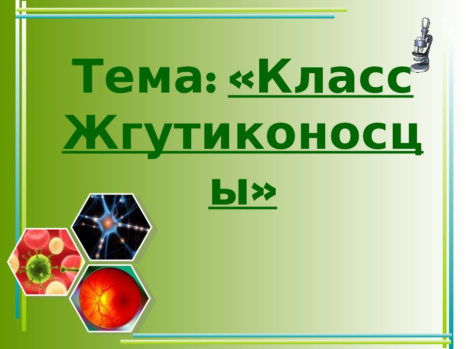 Презентация на тему жгутиконосцы 7 класс