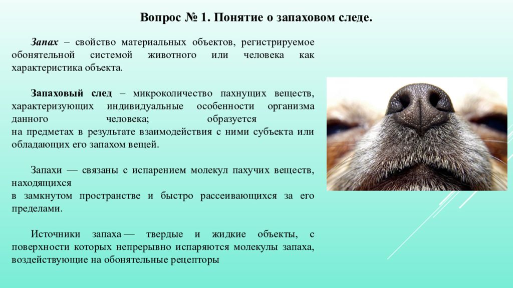 На что дают ответ результаты тестирования работы выполненной в отдельно взятой фазе проекта