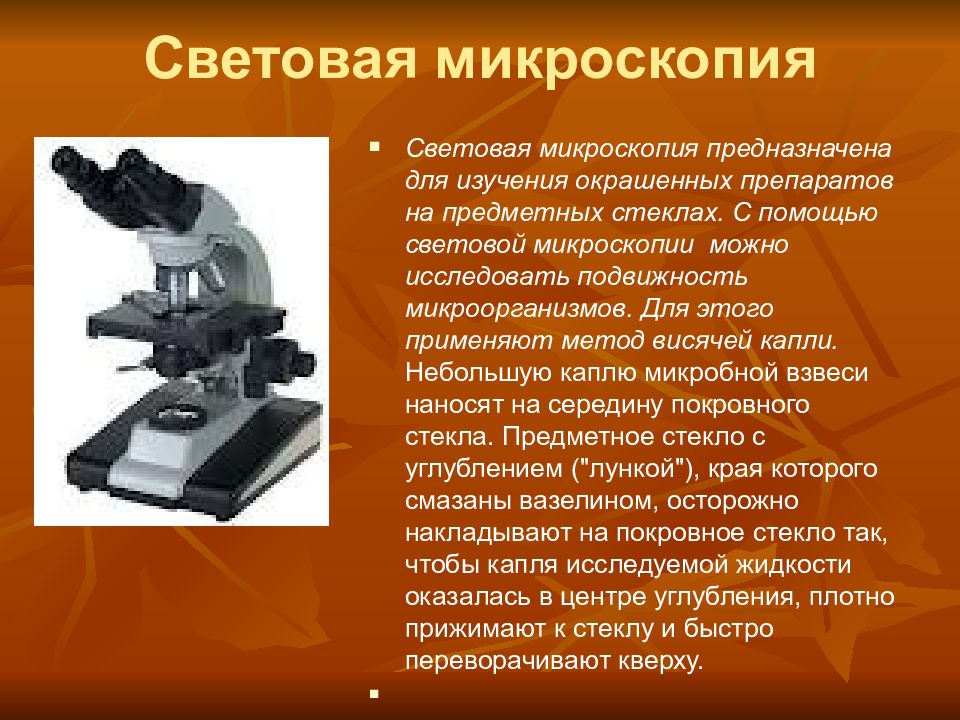 Отличительной особенностью цифрового микроскопа является возможность получения реального изображения