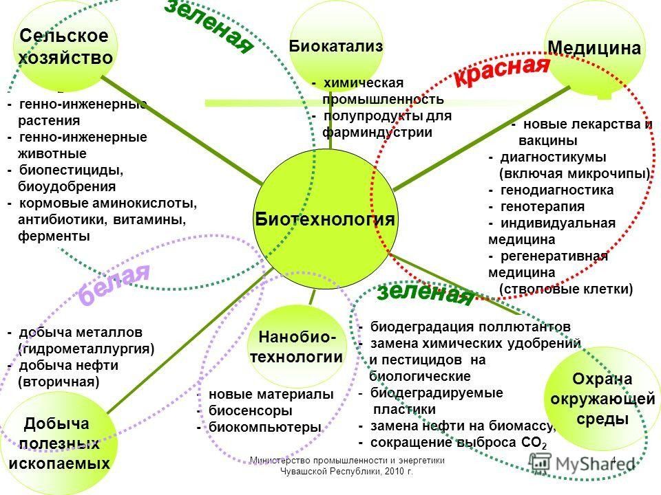 Основные методы биотехнологии презентация