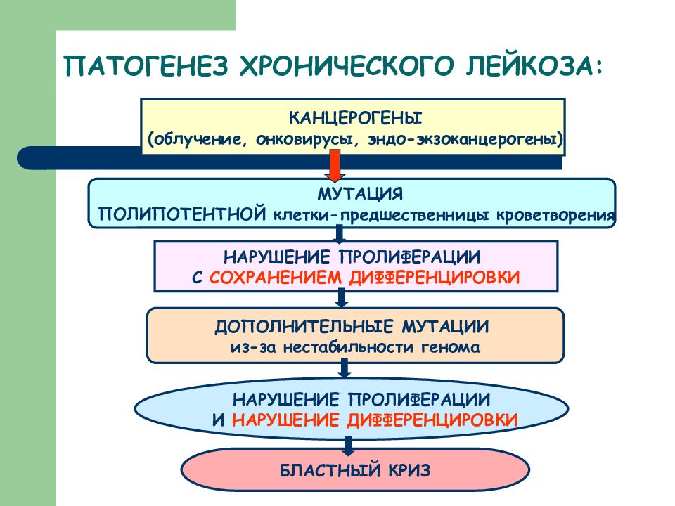 Схема патогенеза хронического патогенеза