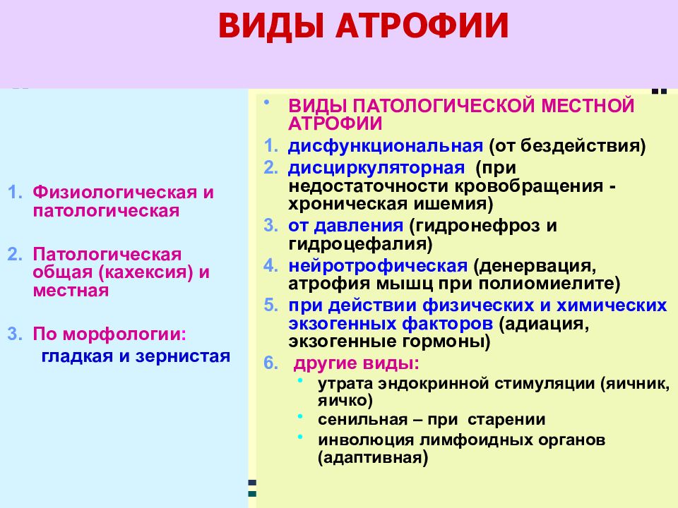 Общая и местная. Атрофия классификация. Виды общей атрофии. Формы патологической атрофии. Проявления общей атрофии.