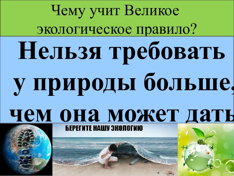 Закон на страже природы презентация 7 класс обществознание