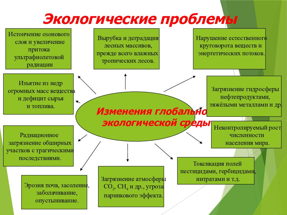 Защита окружающей среды презентация 11 класс