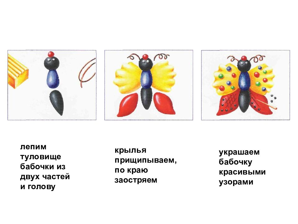 Насекомые из пластилина для дошкольников пошагово картинки