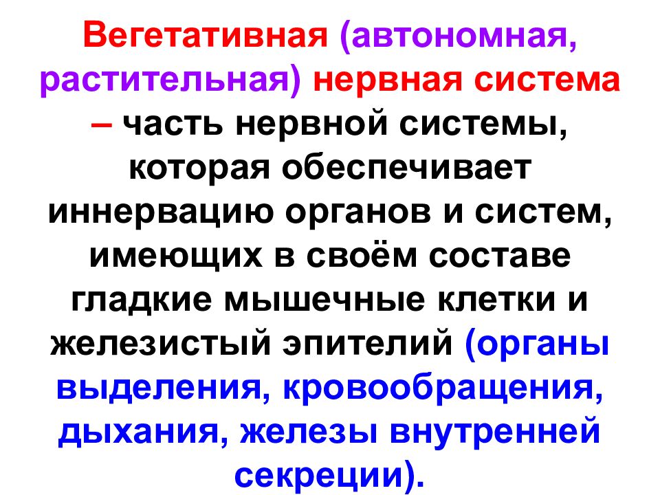 Автономная вегетативная нервная система презентация