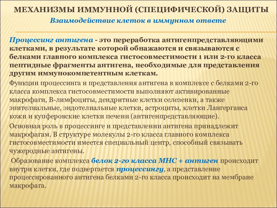 Механизм представлений. Механизмы взаимодействия клеток в иммунном ответе. Формирование специфической иммунной реакции процессинг антигена. Механизм антиген представления. Процессинг и представление антигена.