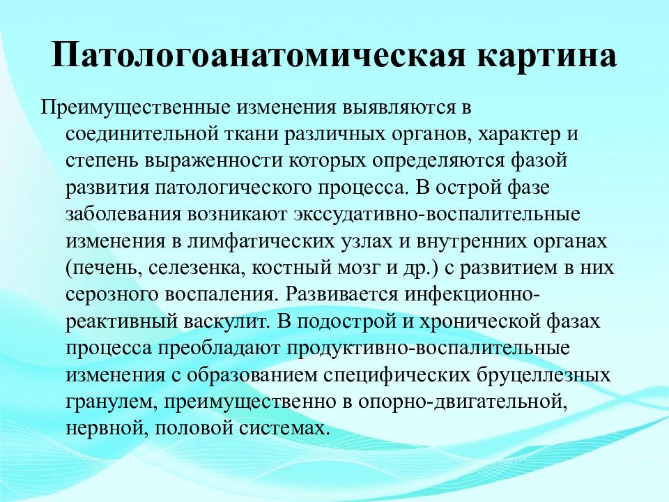 Бруцеллез презентация. Группы риска бруцеллеза. Бруцеллез история открытия. Бруцеллез история открытия презентация.