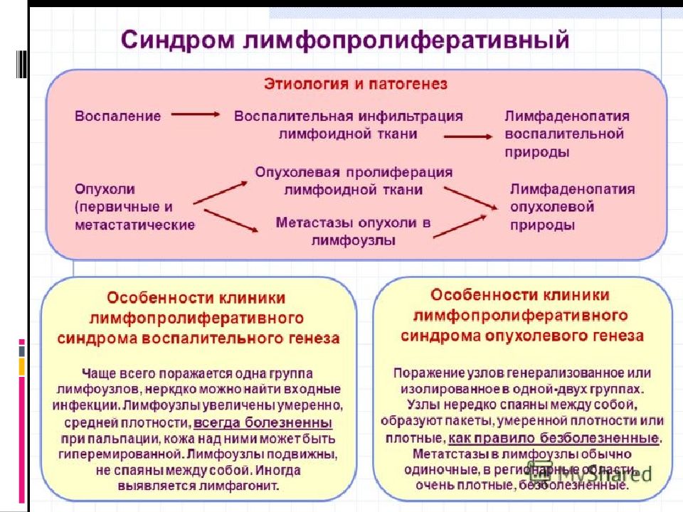 Диф диагностика лимфаденопатий презентация