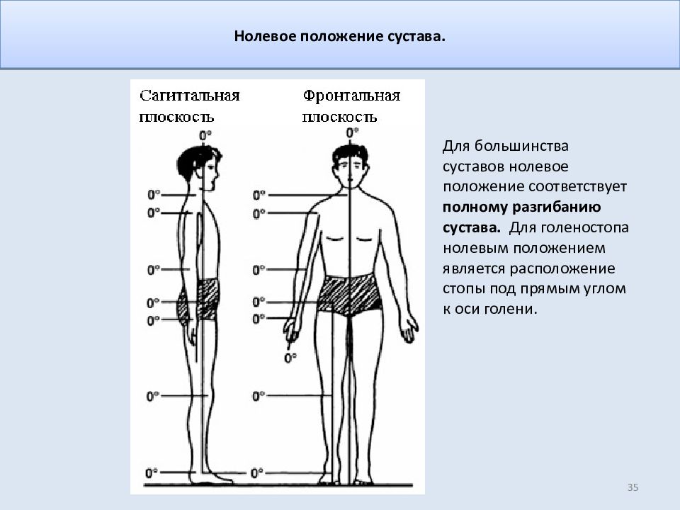 Биомеханика суставов. Биомеханика суставов человека. Биомеханика суставов человека презентация. Биомеханика суставов кисти.