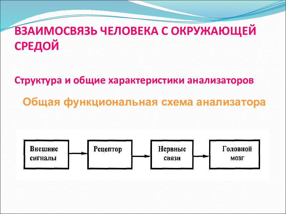 Взаимоотношения организма и среды презентация