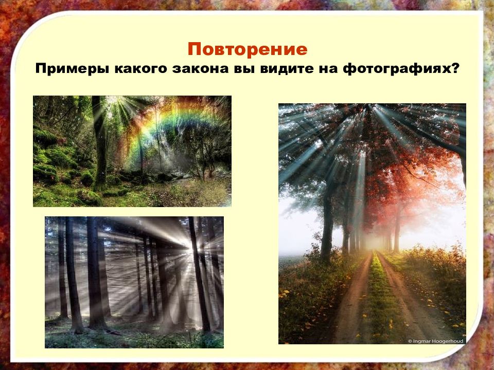 Примеры в природе и технике. Закон отражения света примеры. Отражение примеры. Отражение света примеры. Примеры отражения света в жизни.