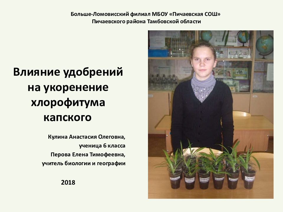Больше- Ломовисский филиал МБОУ « Пичаевская СОШ» Пичаевского района Тамбовской области