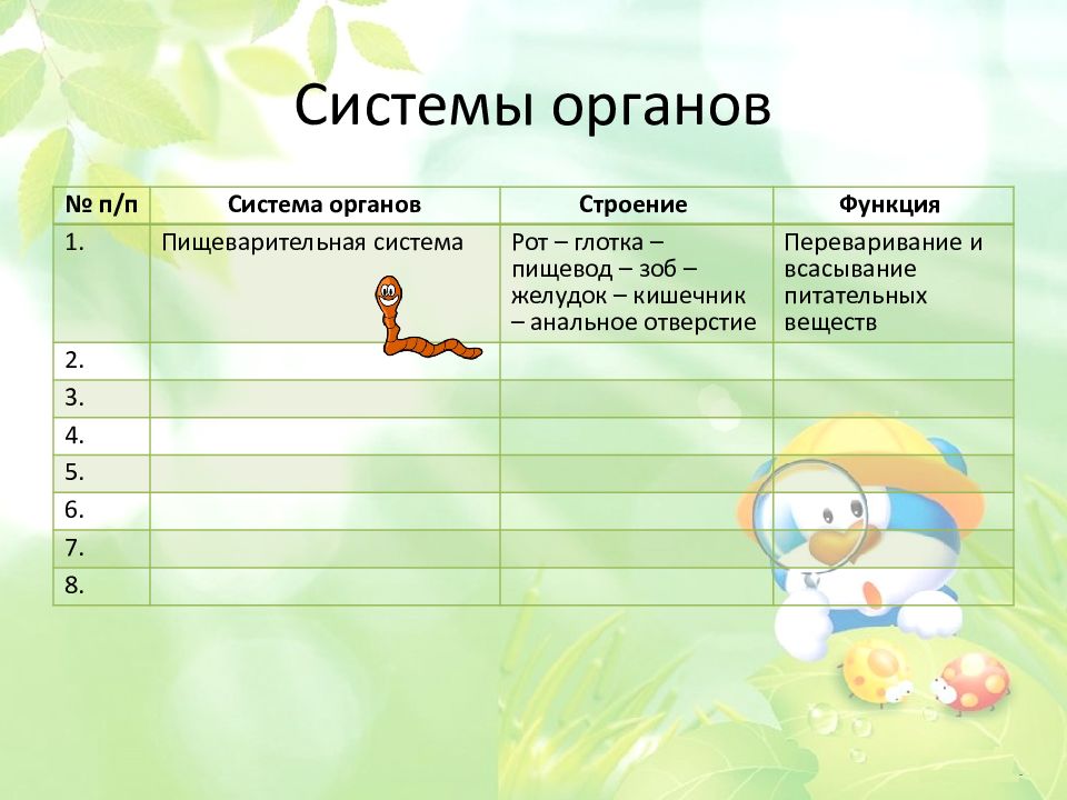 Органы и системы органов животных и человека. Системы органов животных. Системы органов животных 6 класс. Системы органов животных 5 класс. Система органов животных таблица 6 класс.