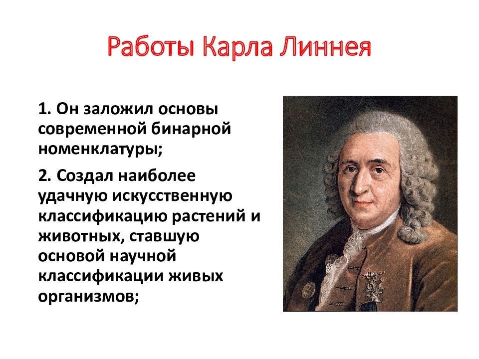 Линней основатель систематики. К. Линней - бинарная номенклатура. Возникновение жизни Линней.