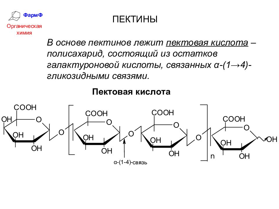 Схема гидролиза полисахаридов