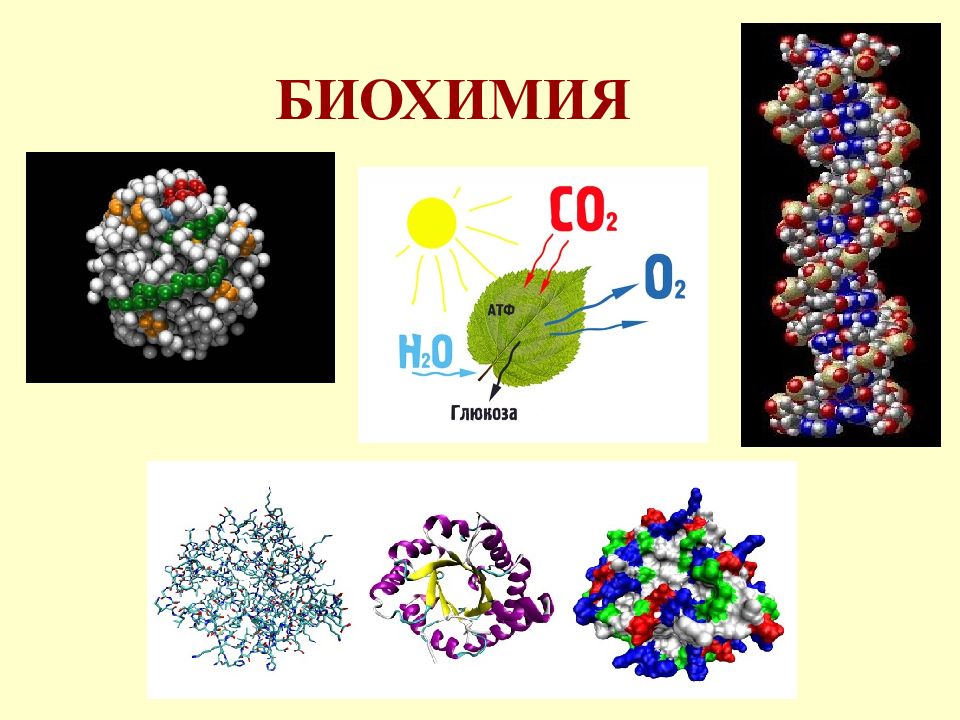 Общие закономерности науки