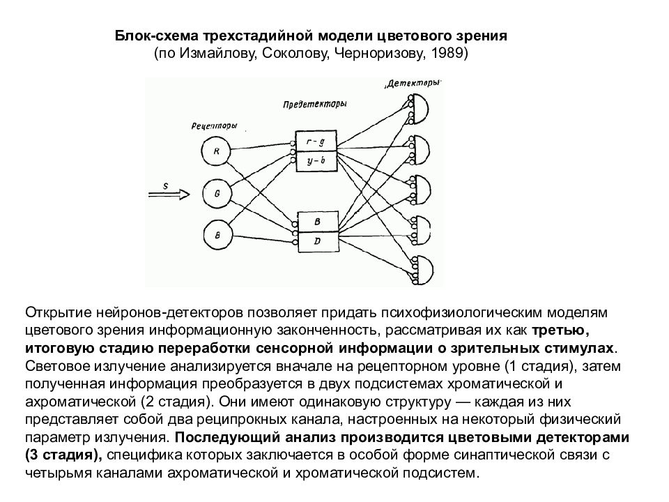 Теории зрения. Блок схема зрительной сенсорной системы. Сферическая модель цветового зрения. Модель «цветовое зрение». Цветовые схемы для зрения.