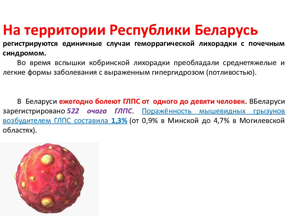 Геморрагическая лихорадка с почечным синдромом презентация