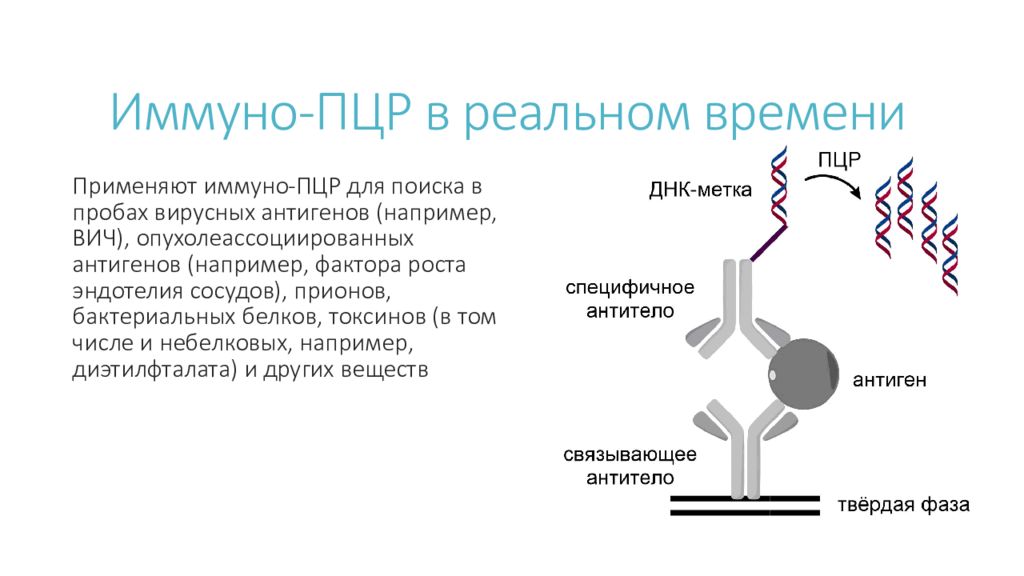 Бактериальный белок