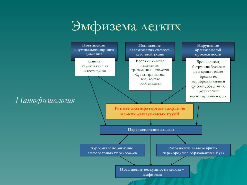 Патофизиология хобл презентация