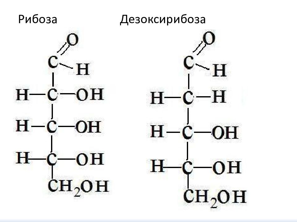 Рибоза свойства. Рибоза и дезоксирибоза. Дезоксирибоза строение молекулы. 2 Дезоксирибоза формула. Рибоза и дезоксирибоза формулы.