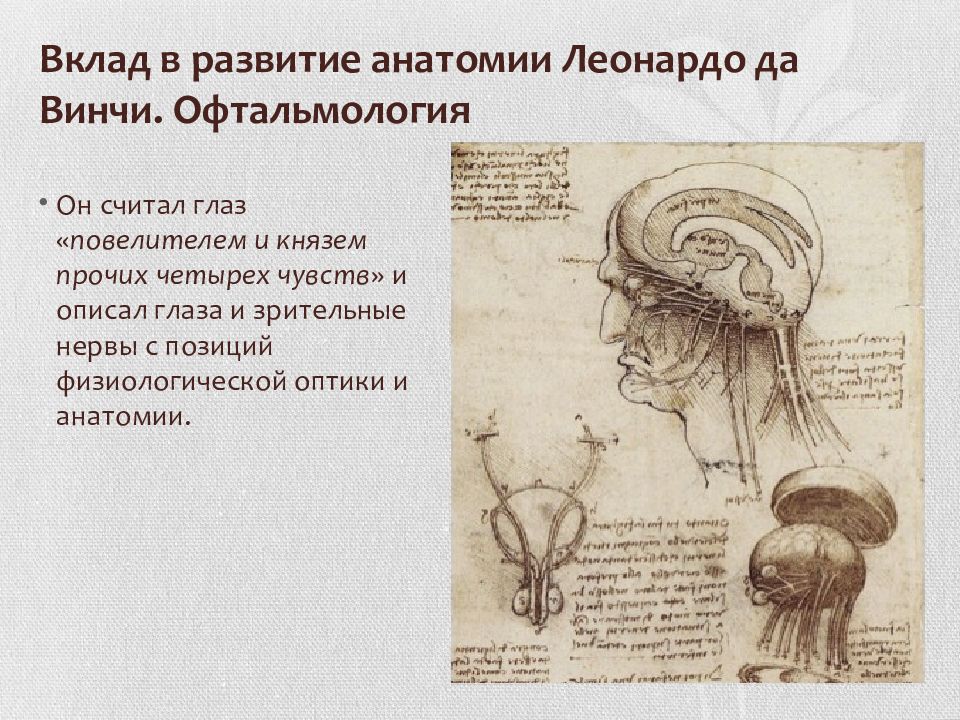 Итальянский художник чьи картины и анатомические рисунки внесли вклад в развитие медицины это