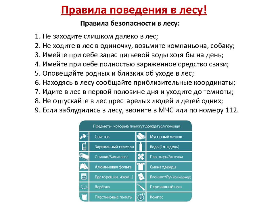 Проект на тему природное сообщество