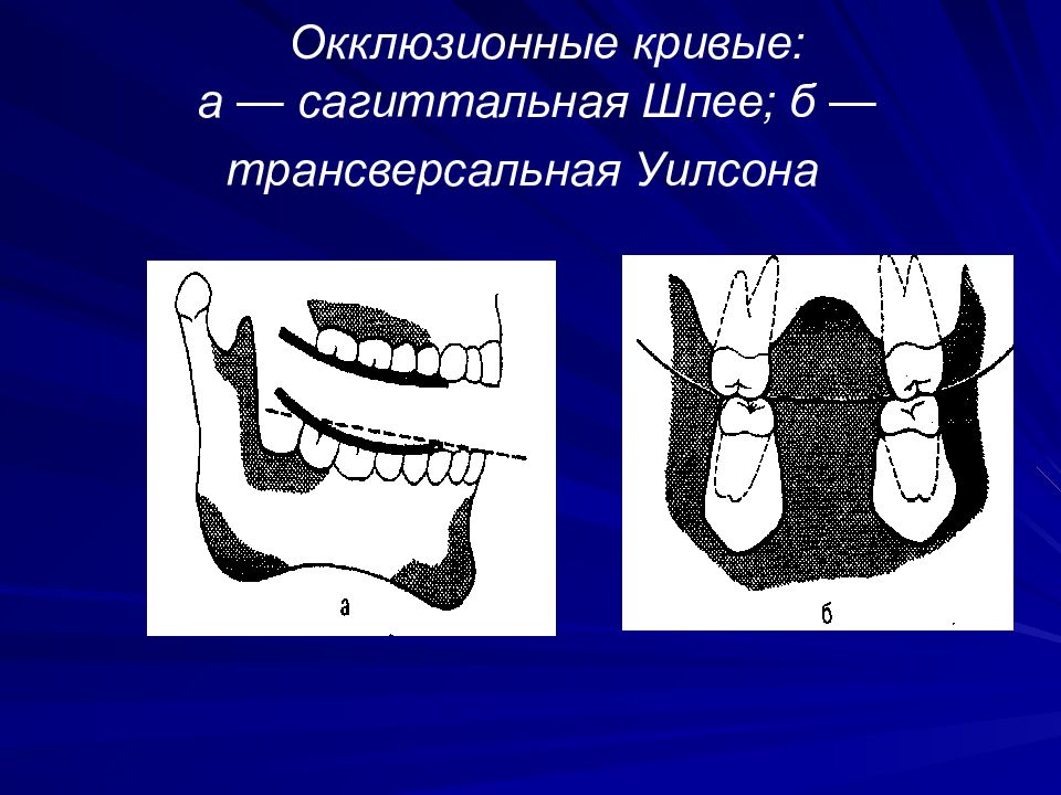 Трансверзальные аномалии