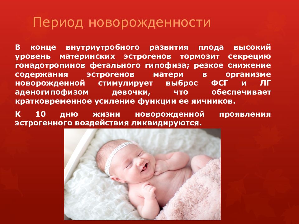 Менструальный цикл Период новорожденности