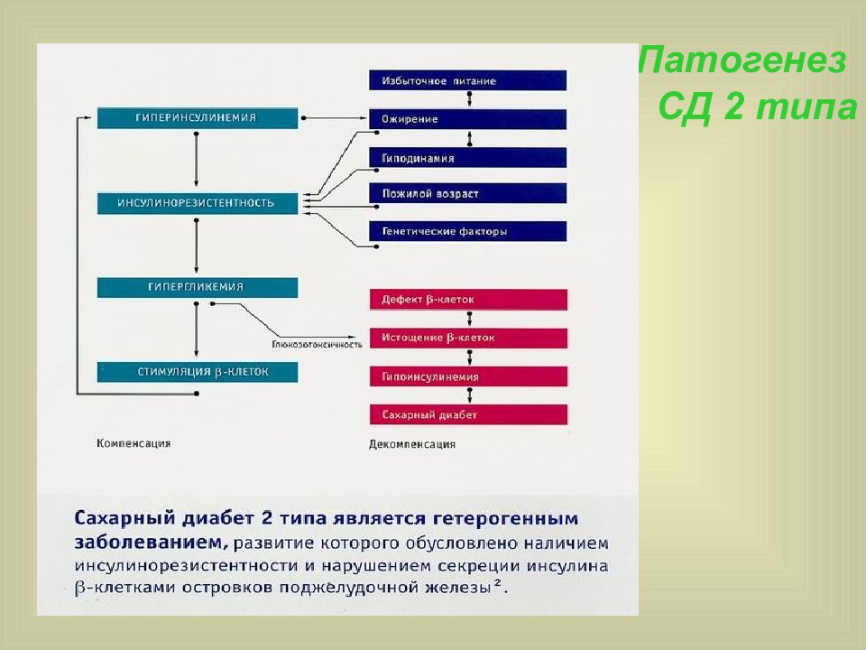 Сахарный диабет 2 типа дипломная работа с диаграммами