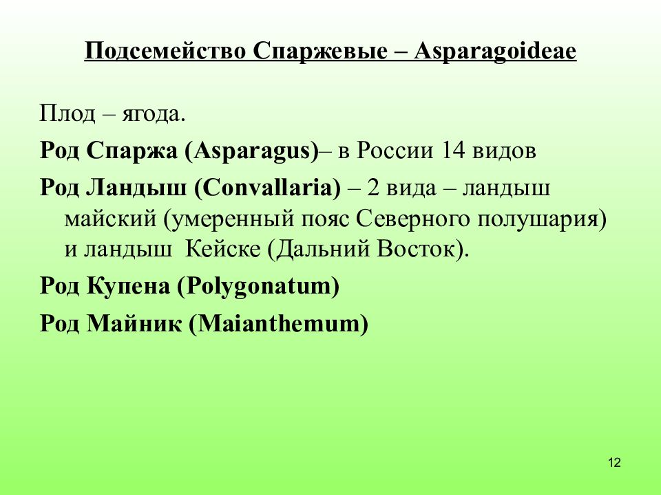 Восток род. Семейство Спаржевые подсемейство луковые. Спаржевые формула цветка. Род Спаржевые. . Семейство Осоковые. Систематическое положение.