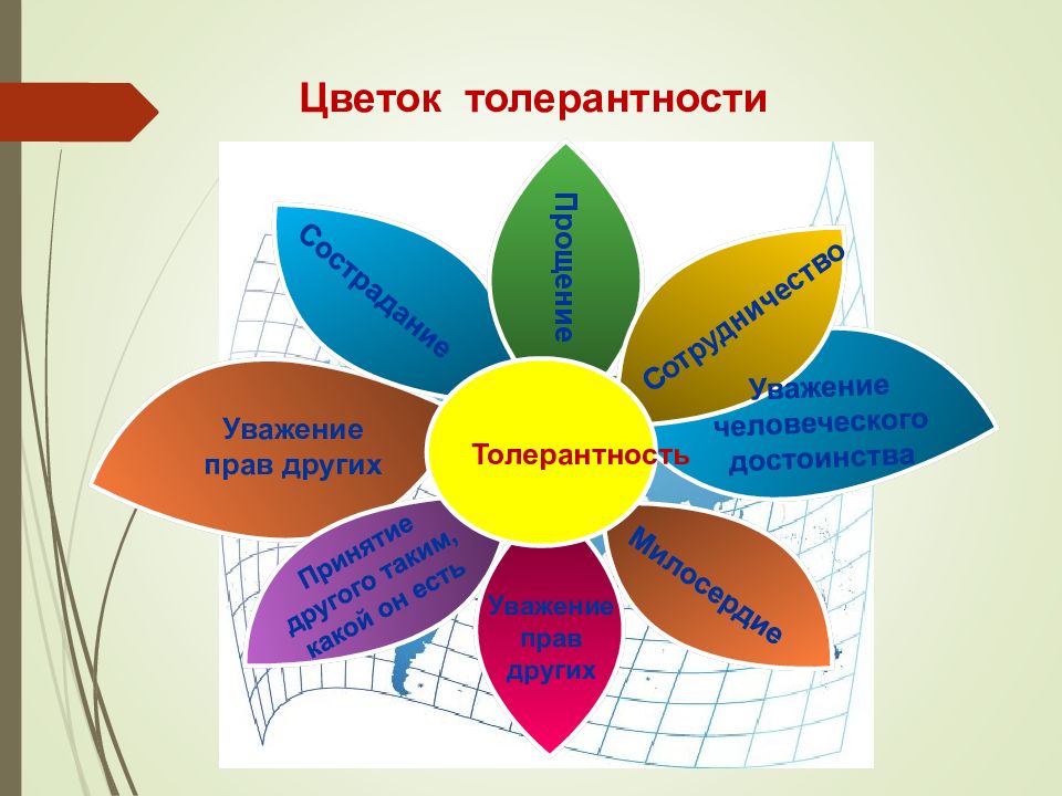 Цветок толерантности картинка