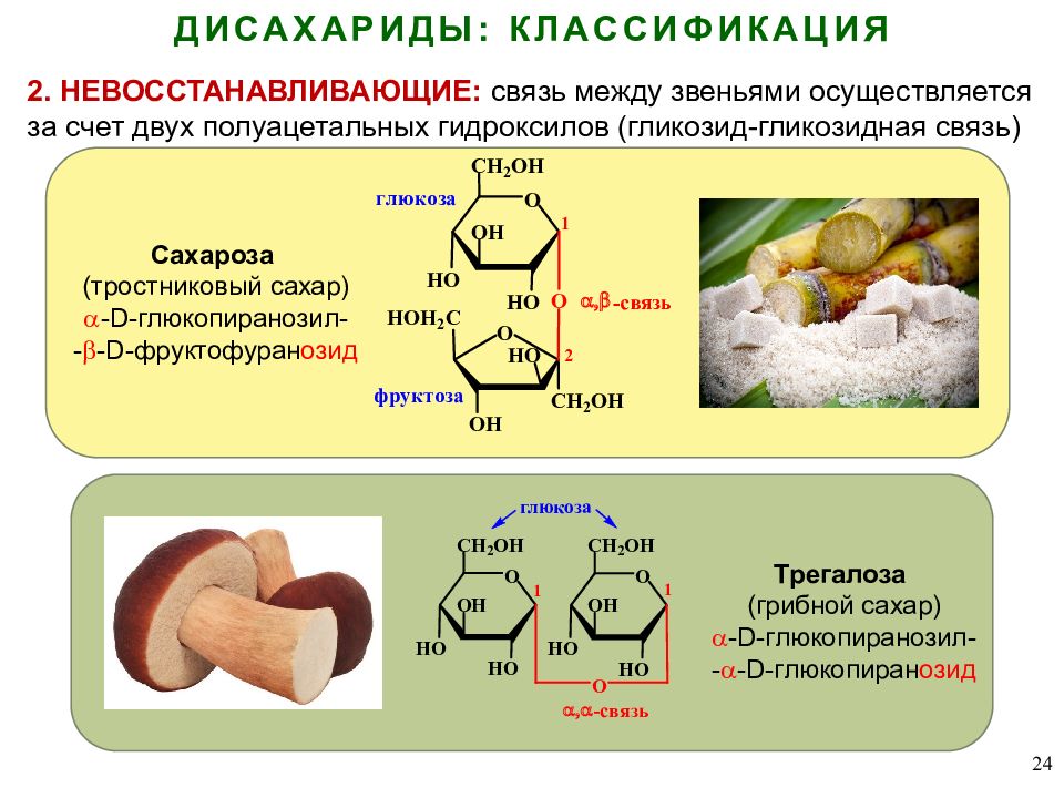 Хранение углеводов. Дисахарид трегалоза. Классификация дисахаридов. Восстанавливающие и невосстанавливающие углеводы таблица. Восстанавливающие и невосстанавливающие дисахариды.