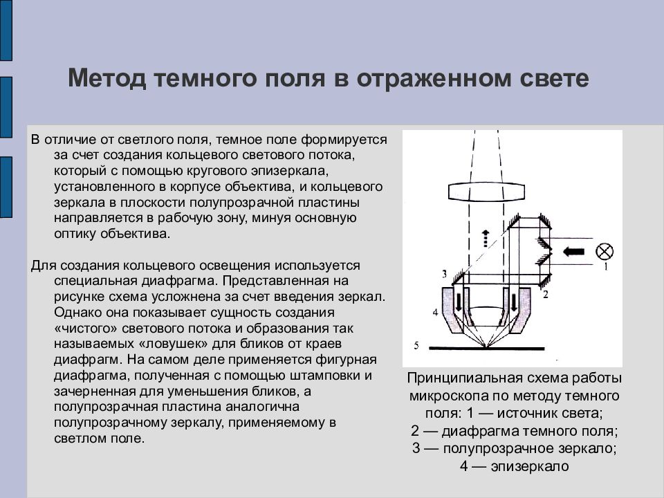 Микроскопия в светлом поле