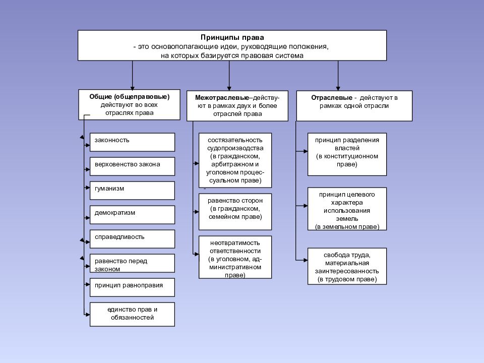 Общие принципы законодательства рф