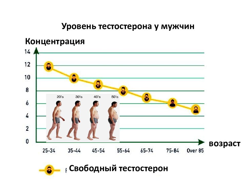 Свободный тестостерон у мужчин