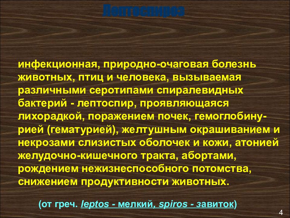 Лептоспироз презентация инфекционные болезни