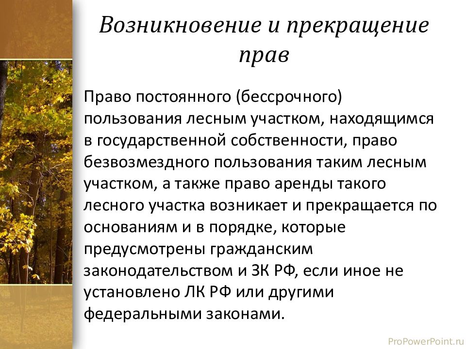 Право собственности земель лесного фонда. Правовой режим земель лесного фонда.