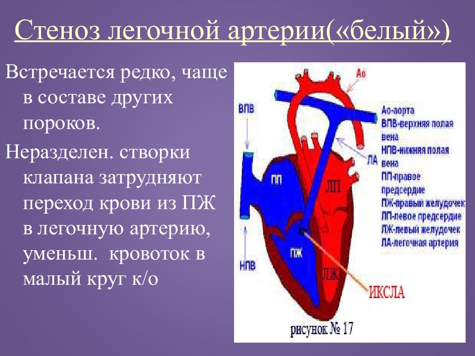 Презентация на тему впс у детей