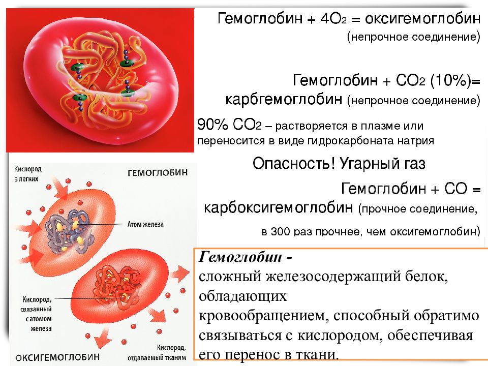 Презентация на тему внутренняя среда организма кровь биология 8 класс