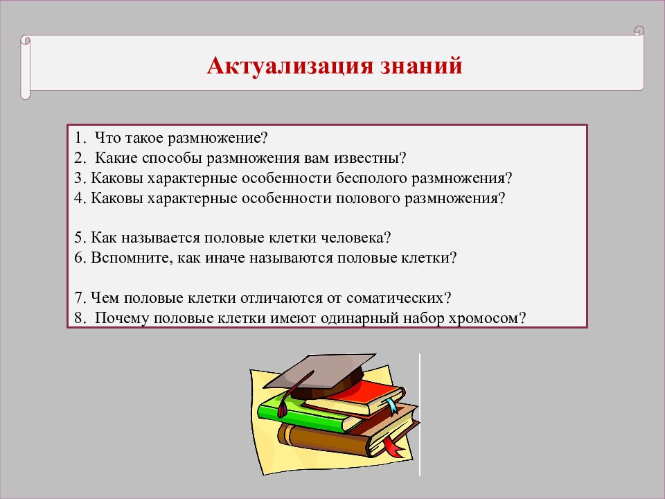 Половыми называют. Актуализированная инструкция это. Актуализация знаний синонимы. Реактуализация это. Что значить актуализировать инструкцию.