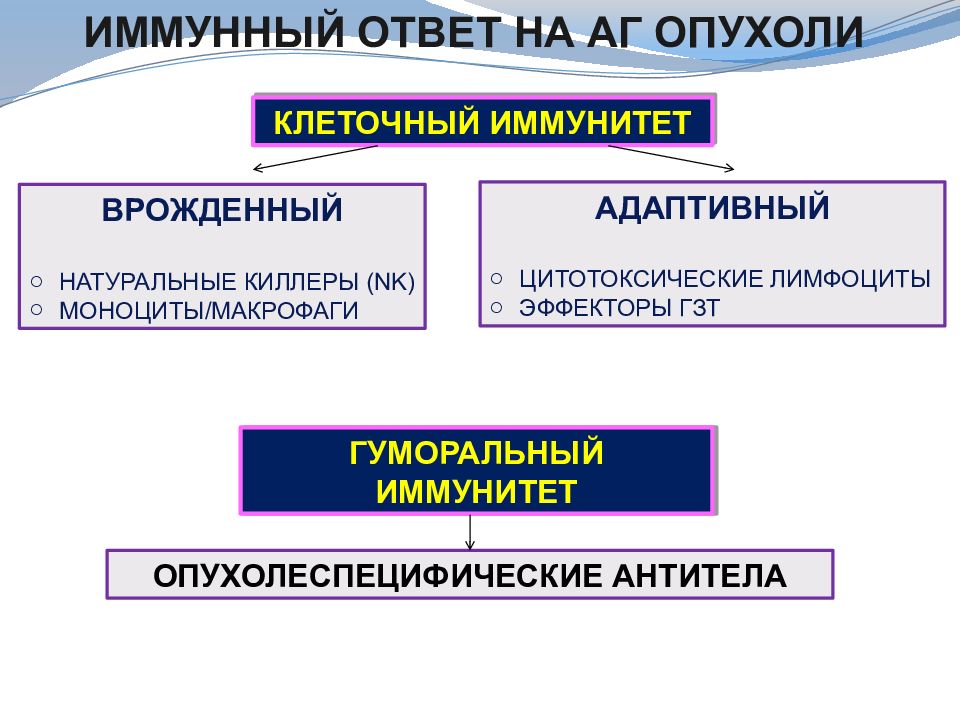 Иммунология реферат. Гуморальный противоопухолевый иммунитет. Противоопухолевый иммунный ответ клетки-эффекторы. Методы иммунодиагностики опухолей. Методы иммунодиагностики опухолей таблица.