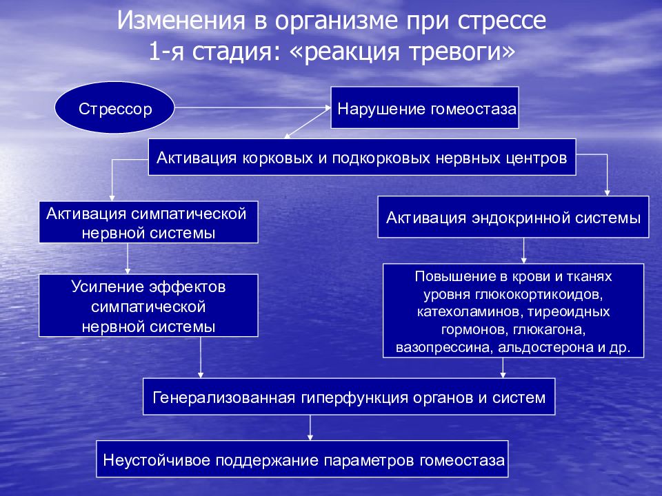 Деменция симптомы стадии. Изменения в организме при стрессе. Механизм развития стресса в организме. Механизм развития стресса патофизиология. Патогенез стресса патофизиология.