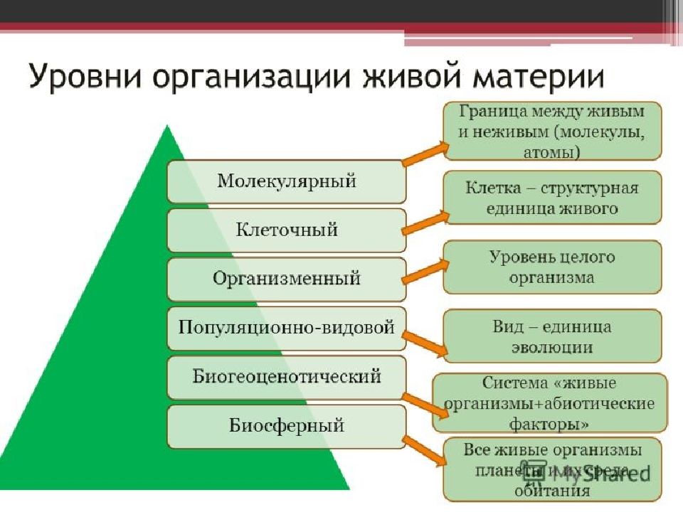 Биология в жизни каждого проект