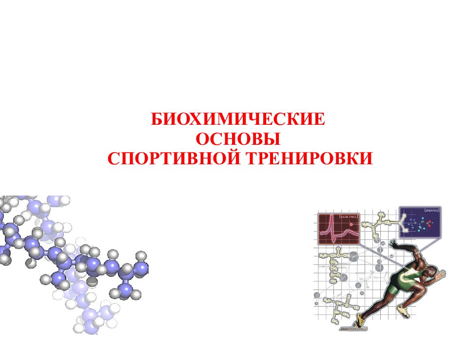 БИОХИМИЧЕСКИЕ ОСНОВЫ СПОРТИВНОЙ ТРЕНИРОВКИ