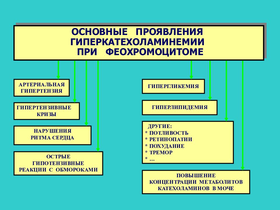 Феохромоцитома презентация по эндокринологии