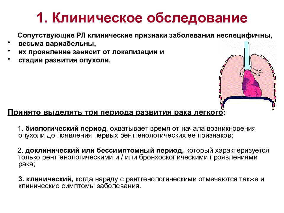 Рак легких симптомы у женщин. План обследования при опухоли легкого. Опухоли легких клинические рекомендации. Злокачественные новообразования бронхолегочной системы. Лечение опухоли легких клинические рекомендации.