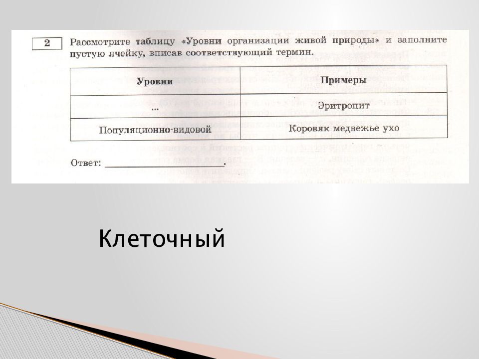 Заполните пустые ячейки таблицы используя термины. Заполните таблицу уровень организации. Рассмотрите таблицу уровни организации живой природы. Заполните таблицу уровни организации живой природы. Заполнить таблицу: «уровни организации живого».