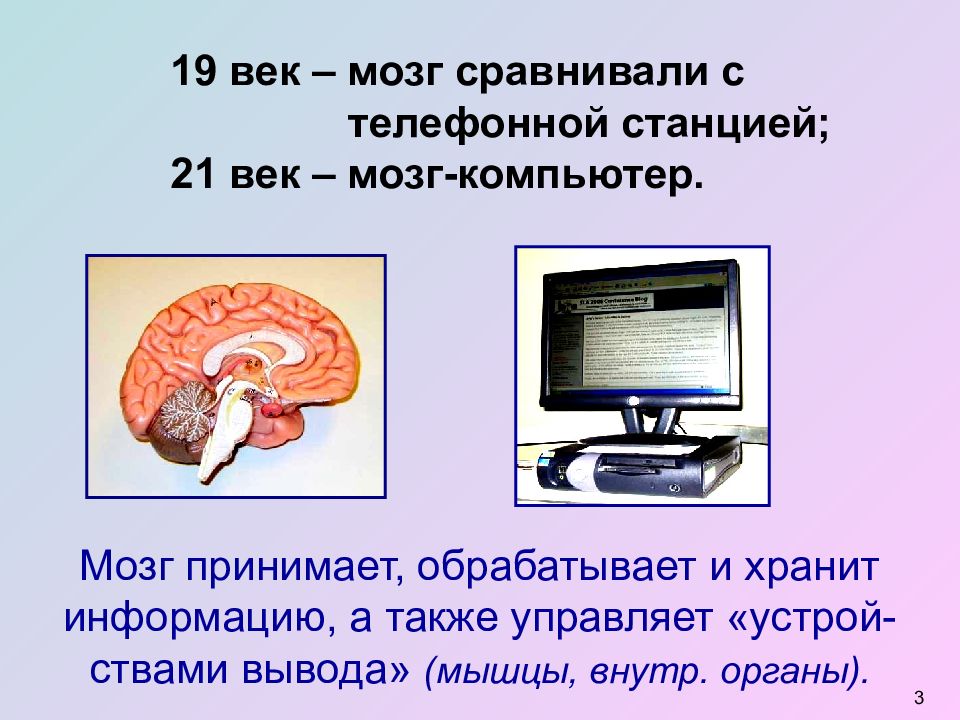 Первый мозг. Мозг и компьютер сравнение. Сравнение мозга человека и компьютера. Сходства мозга и компьютера. Мозг биологический компьютер.